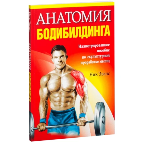 Анатомия бодибилдинга