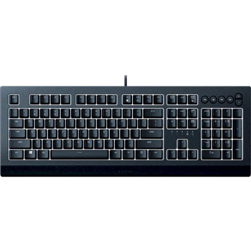 Клавиатура RAZER Cynosa V2, RU (RZ03-03400700-R3R1): Количество клавиш 110