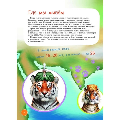 Ілля Лагутенко: Я тигр: Обкладинка Тверда