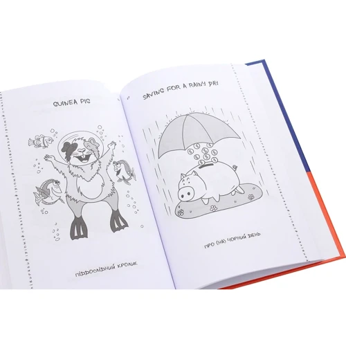 Visual English-Ukrainian Idioms Handbook. Візуалізований англійсько-український довідник фразеологізмів: ISBN 978-617-00-3978-1