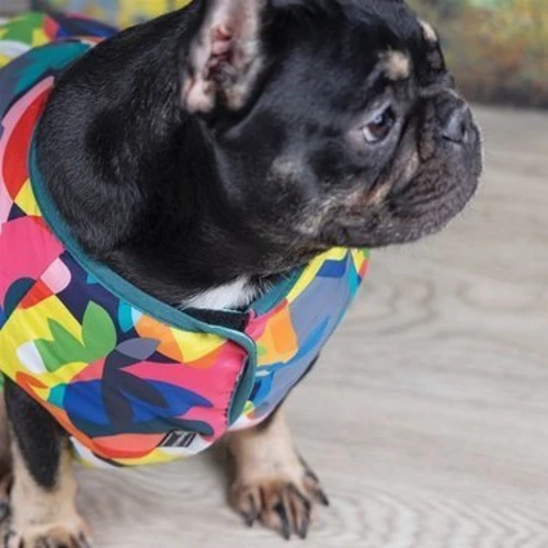Жилет Pet Fashion SPRING принт L (4823082420582): Розмір S2