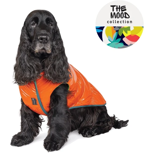 Жилет Pet Fashion SPRING оранжевый M (4823082420483): Тип Жилеты
