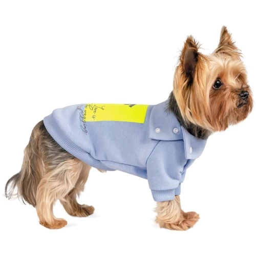 Толстовка для собак Pet Fashion Light размер XS голубая (4823082427024): Тип Толстовки