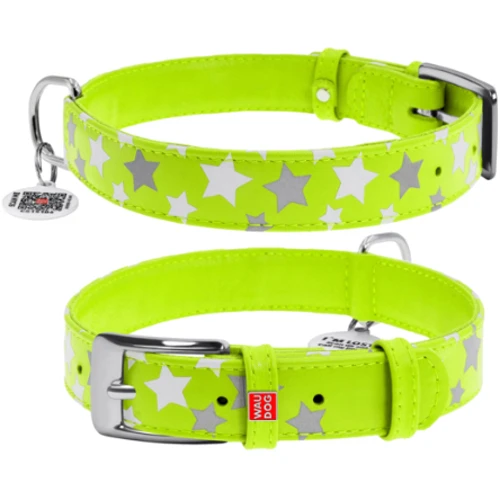 Нашийник Collar Glamour з візерунком Зірочка Світиться з QR паспортом 38-49 см 25 мм салатовий (4823089301365)