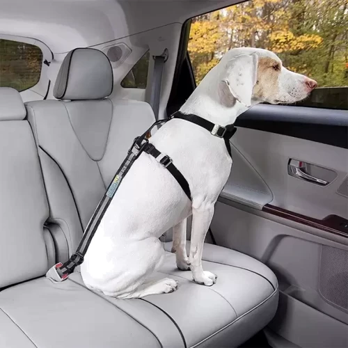 Ремень Kurgo Direct to Seatbelt Tether для собак к автомобильному ремню безопасности 2 шт (57847): Производитель Kurgo