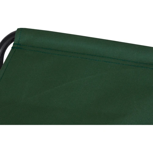 Стілець розкладний NeRest NR-16 SP зі спинкою (4820211100575GREEN): Тип Стілець складаний