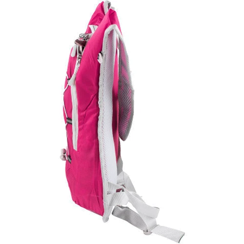 Жіночий рюкзак Valiria Fashion рожевий (5DETBU3622-13): Країна виробник Китай