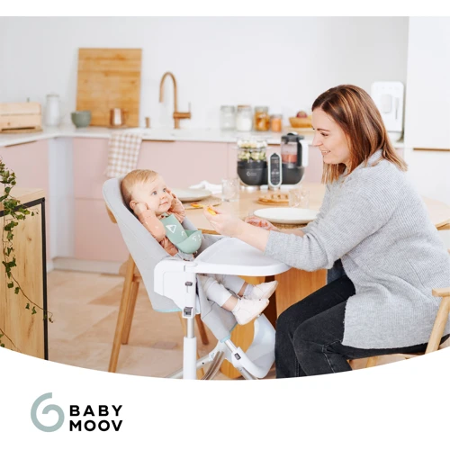 Детская пароварка-блендер Babymoov Nutribaby+ Grey (A001124)