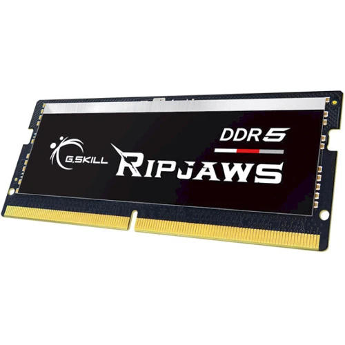 G.Skill 16 GB SO-DIMM DDR5 4800 MHz Ripjaws (F5-4800S3838A16GX1-RS): Тип DDR5
