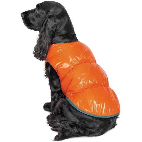 Жилет Pet Fashion SPRING оранжевый M (4823082420483): Размер M