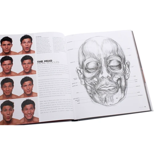 Sarah Simblet: Anatomy for the Artist: Количество страниц 256