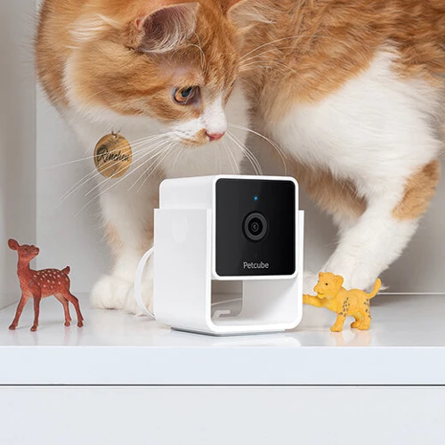 Компактна HD-камера Petcube Cam з нічним баченням та двостороннім аудіозв'язком: Виробник Petcube