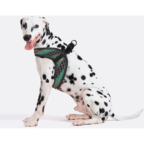 Шлея HiDog Comfort Boha green 54-60 см XL разноцветная (140\1004) фото 2