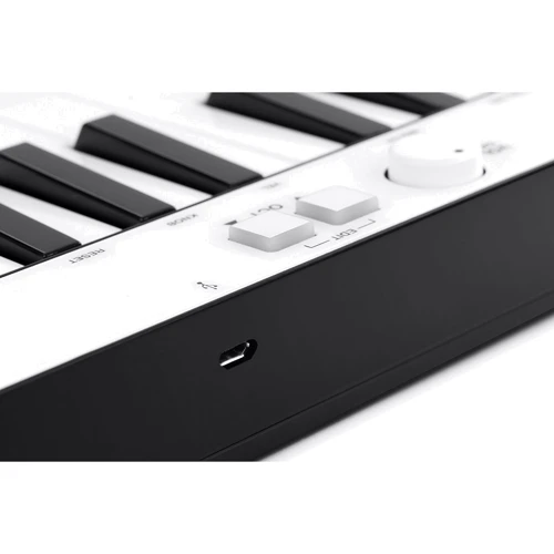 IK MULTIMEDIA iRig Keys Mini: Количество клавиш 25