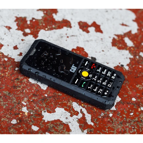 Мобильный телефон CAT B30 Dual Sim Black: Камера 2 МП