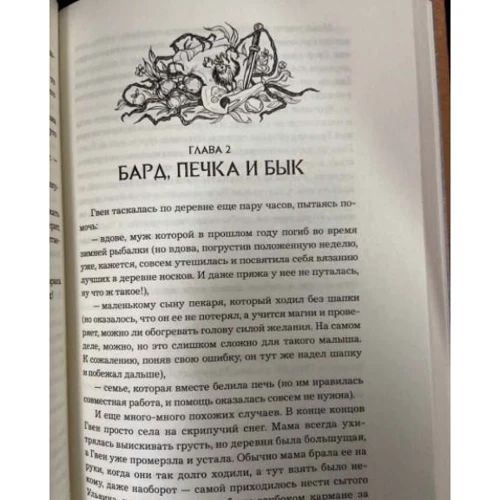Екатерина Соболь: Анима. Книга 3. Медная чайка: Обложка Твердая