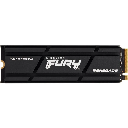 Kingston FURY Renegade 500 GB with Heatsink (SFYRSK/500G): Тип накопителя внутренний