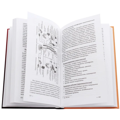 Камини Десаи: Йога-нидра. Искусство целительного расслабления: ISBN 978-5-906897-48-0