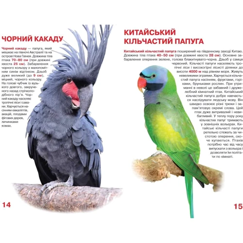 Велика книжка. Папуги: Обложка Мягкая