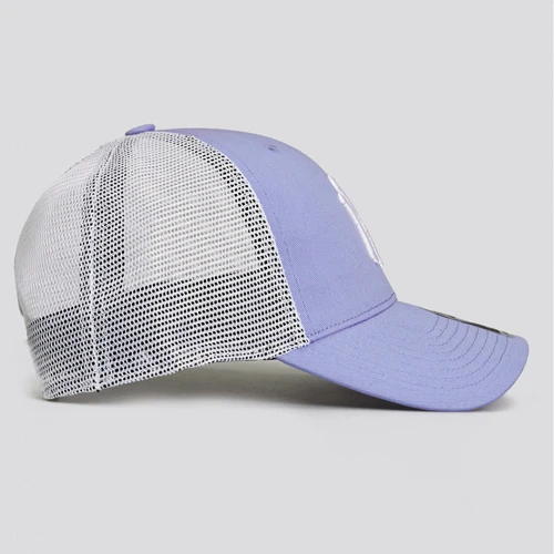 Жіноча бейсболка 47 Brand Flagship New York Yankees бузкова (B-FLGSH17GWP-LV) фото 3
