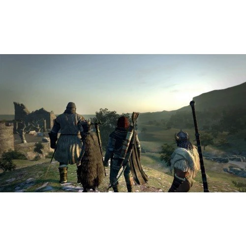 Dragons Dogma Dark Arisen (Nintendo Switch): Серия приставки Nintendo Switch