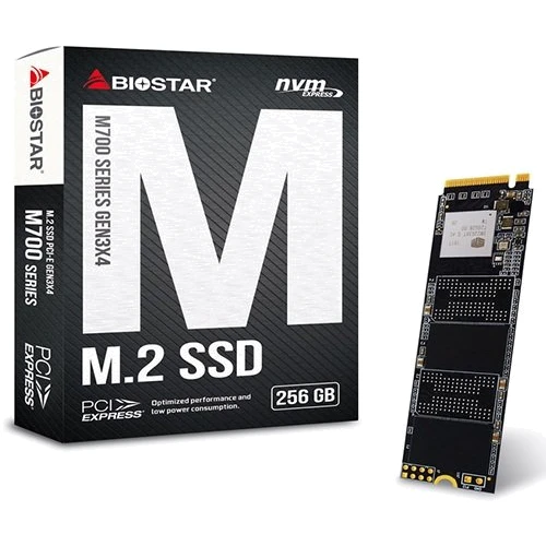 Biostar 256GB M760-256GB