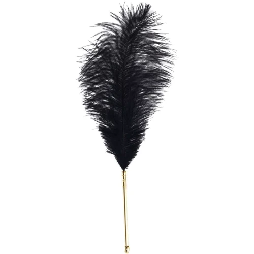 Набор перышек для ласк LOCKINK Sevanda Natural Peacock Flirting Feather Tickler