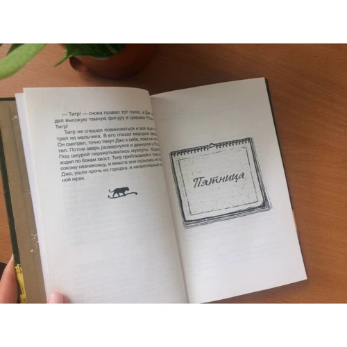 Девід Алмонд: Таємне серце: ISBN 978-5-907142-57-2