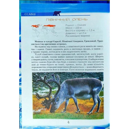 Тваринний світ Арктики та Антарктики. Ілюстрована енциклопедія для дітей: Обложка Твердая