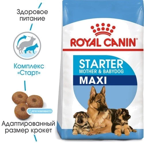 Сухой корм для щенков Royal Canin Maxi Starter крупных пород и беременных собак 4 кг (2994040): Тип Сухой корм