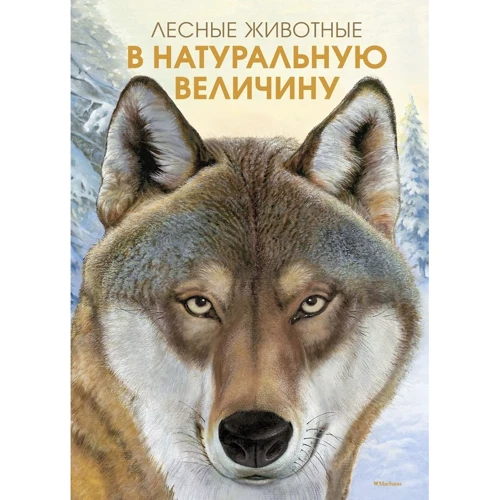 Лесные животные в натуральную величину