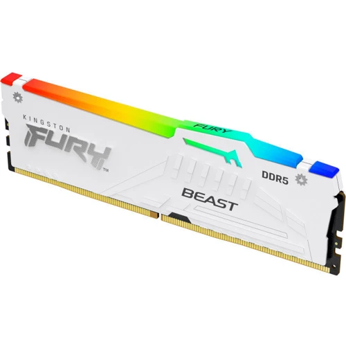 Kingston FURY 32 GB DDR5 5600 MHz Beast RGB EXPO White (KF556C36BWEA-32): Тип DDR5