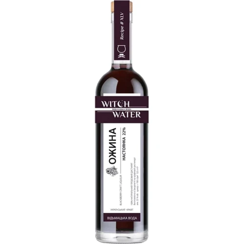Настоянка Witch Water Blackberry Ожина 22% 0.5 л (VTS6344045)