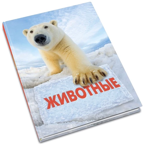 Животные. Полная энциклопедия: Производитель КМ-Букс
