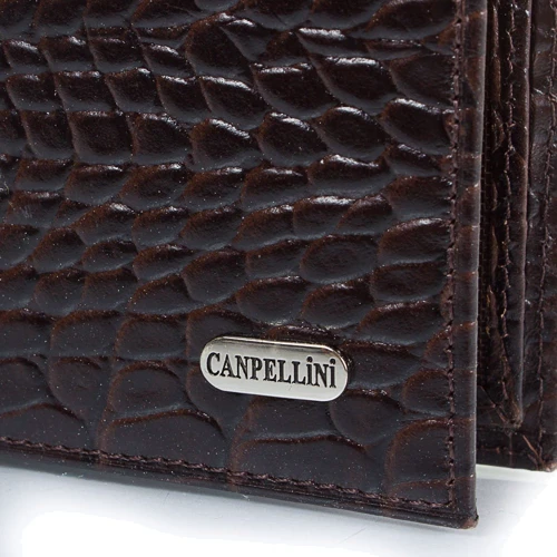 Мужское портмоне Canpellini коричневое (SHI1044-11): Формат кошелька Вертикальный