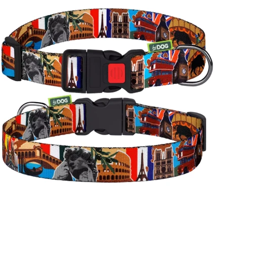 Нашийник HiDog Europe XS 10 мм 18-28 см різнокольоровий (101\1014): Виробник HiDog