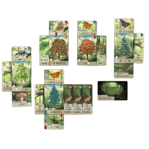 Настольная игра Настольная игра Лесная суета (Forest Shuffle): Тип Детские