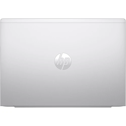 Ноутбук HP ProBook 465 G11 Pike Silver (AD1X1ET) UA: Экран 16" IPS (1920x1200)