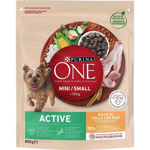 Сухой корм Purina ONE mini Active для собак малых пород c курицей и рисом 800 г (7613034147493)