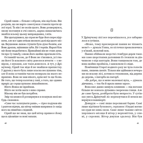 Анастасія Лавренішина: Дрімучий ліс. Шлях Відьми: Обложка Твердая