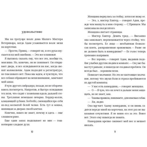 Метт Хейг: Останнє сімейство в Англії: Автор Метт Хейг