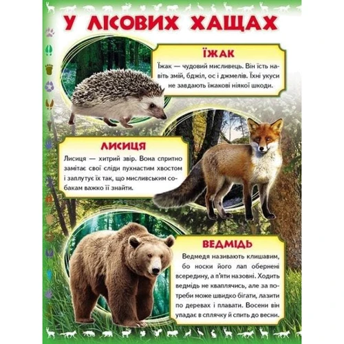 Моя перша книжка. Про диких тварин: Жанр Развитие ребенка