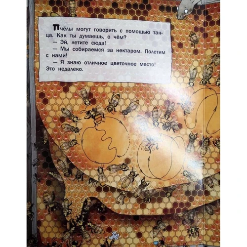 Олена Ананьєва: Що роблять бджоли? (Мул. К. Байеровіч): ISBN 978-5-699-93717-2