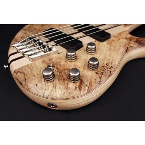 Бас-гитара CORT A5 Plus SCMS (Open Pore Natural) w/case