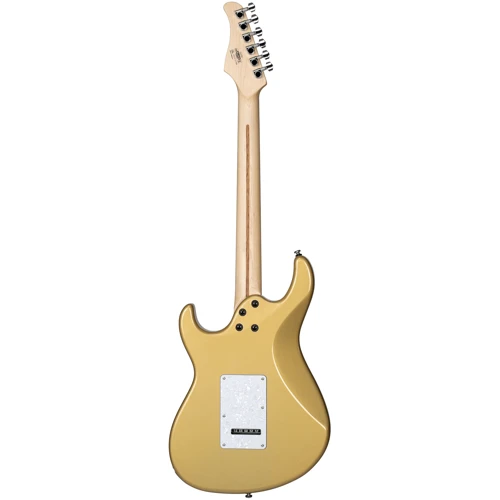 Электрогитара CORT G250 CGM