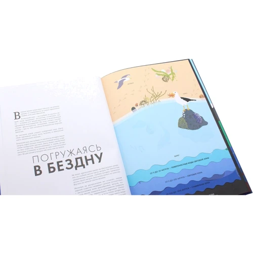 Елен Дрювер: Океан: Кількість сторінок 44