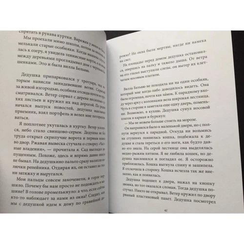 Кристин Линдстрём, Хелена Эберг: Кошачий чердак: Жанр Приключения