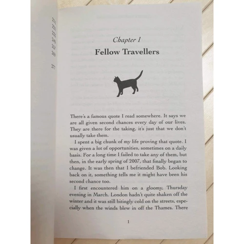 James Bowen: A Street Cat Named Bob: Кількість сторінок 288