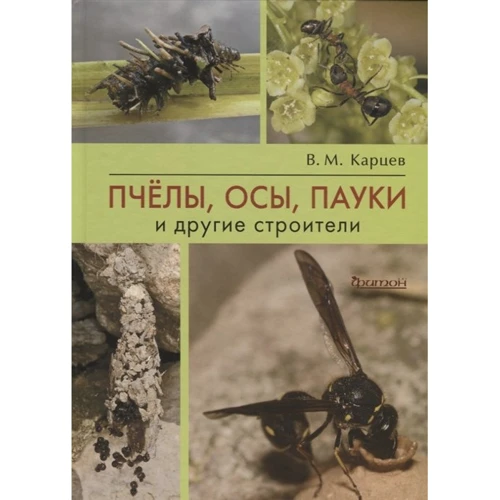 В. М. Карцев: Бджоли, оси, павуки та інші будівельники