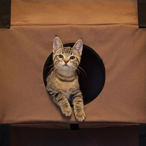 Будиночок K & H Pet Products Hangin Feline Funhouse на двері для котів 56х30.5х178 см (3220) фото 3